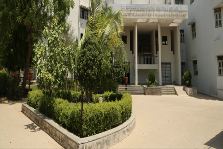 https://cache.careers360.mobi/media/colleges/social-media/media-gallery/6970/2019/2/15/Campus view of KB Institute of Pharmaceutical Education and Research Gandhinagar_Campus-view.png